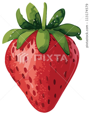 手繪草莓插畫 手繪草莓插畫 113174579