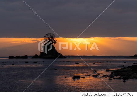 Morning of Ameya coast Morning of Ameya coast 113174763
