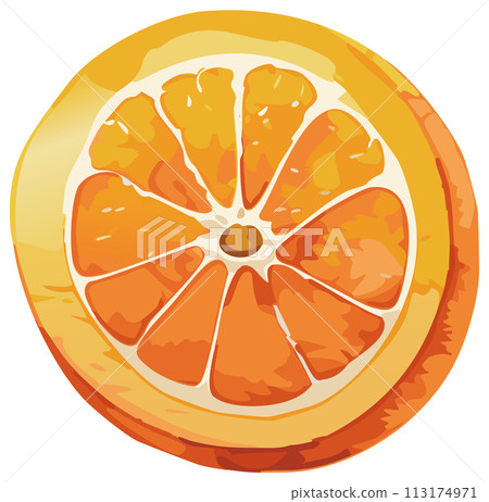 Hand-drawn orange illustration 113174971