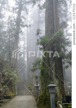 世界遺產高野山，雨中通往奧之院的道路，和歌山縣 113175112