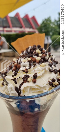 Decadent chocolate sundae with whipped cream 113175499