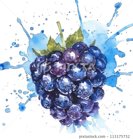 A single blackberry brims with vibrancy in this watercolor 113175732