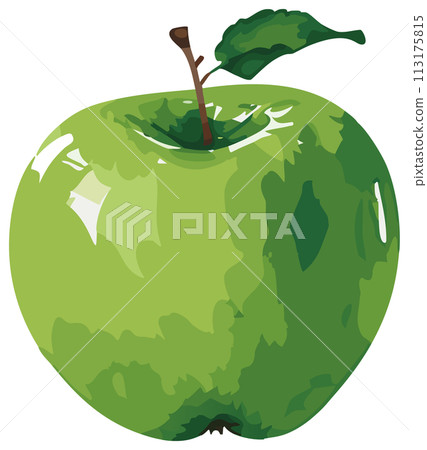 Hand-drawn green apple illustration 113175815