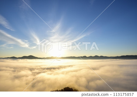 從黑井城遺址看到筱山盆地的丹波霧(雲海) 從黑井城遺址看到筱山盆地的丹波霧(雲海) 113175857
