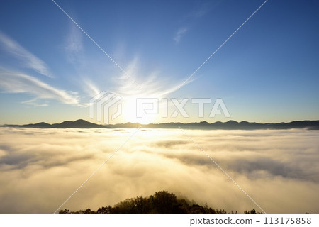 Tanba fog (sea of clouds) in the Sasayama basin seen from the Kuroi Castle ruins 113175858