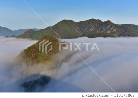 從黑井城遺址看到筱山盆地的丹波霧(雲海) 從黑井城遺址看到筱山盆地的丹波霧(雲海) 113175862
