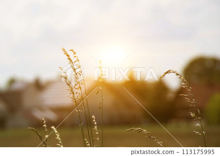 Solar power energy on the roof to a standard house 113175995