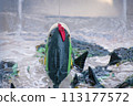 玩具釣魚 113177572