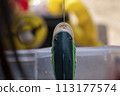 玩具釣魚 113177574