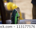 玩具釣魚 113177576