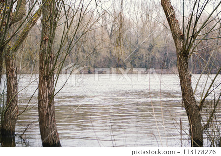 The river in spring time is in the background 113178276