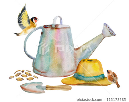 Hand drawn watercolor illustration spring gardening, watering can shovel, straw hat, seeds birds, sparrow robin. Composition isolated on white background. Design print, shop, scrapbooking, packaging 113178385