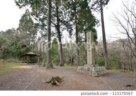 Sekigahara Battlefield Site, Mt. Sasao Ishida Mitsunari Camp Site Stone Monument (Sekigahara Town, Fuwa District, Gifu Prefecture) 113178567