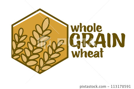 Whole grain wheat, agriculture logo icon vector 113178591