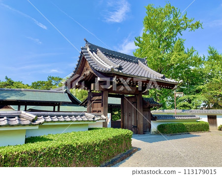 藍天綠樹映襯下的岡崎城二之丸能劇正門【岡崎城公園/愛知縣岡崎市】 藍天綠樹映襯下的岡崎城二之丸能劇正門【岡崎城公園/愛知縣岡崎市】 113179015