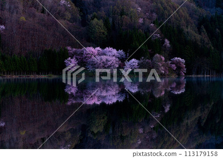 [信州之春]中綱湖的大山櫻倒影[長野縣] 113179158