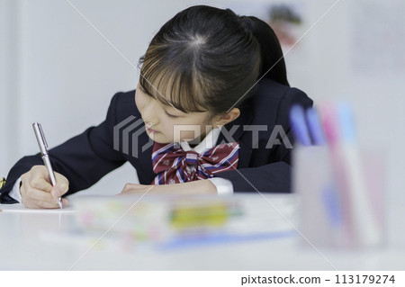 女學生在筆記本上寫字學習 女學生在筆記本上寫字學習 113179274