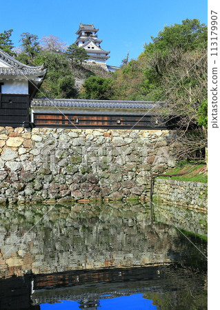 [Kochi Prefecture] Kochi Castle, Otemae Gate and cherry blossoms in full bloom on a clear day 113179907