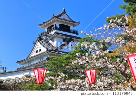 [高知縣] 晴朗的高知城，櫻花盛開 113179943