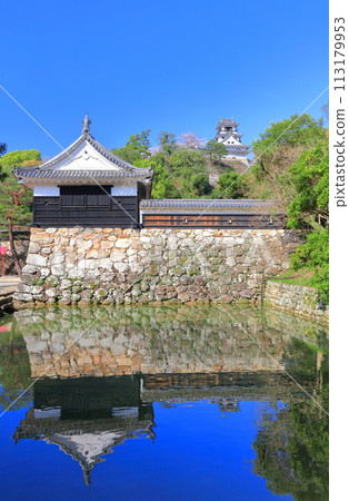 [Kochi Prefecture] Symmetrical Kochi Castle, Otemon and cherry blossoms in full bloom 113179953