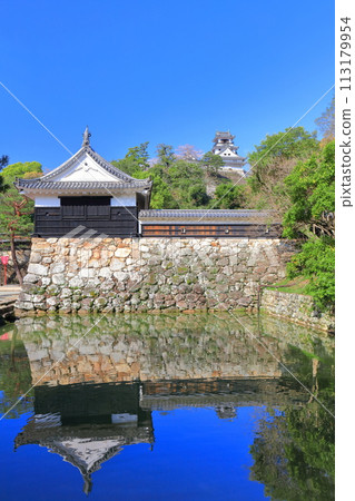 [Kochi Prefecture] Symmetrical Kochi Castle, Otemon and cherry blossoms in full bloom 113179954