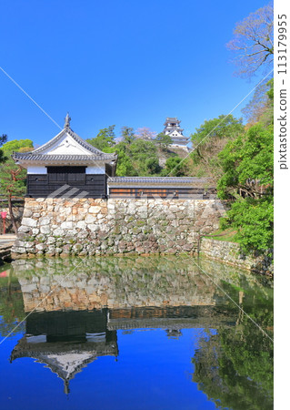 [Kochi Prefecture] Symmetrical Kochi Castle, Otemon and cherry blossoms in full bloom 113179955