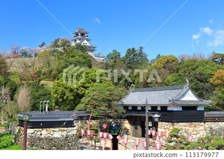 [高知縣] 晴朗的日子高知城、大手門和櫻花盛開 113179977