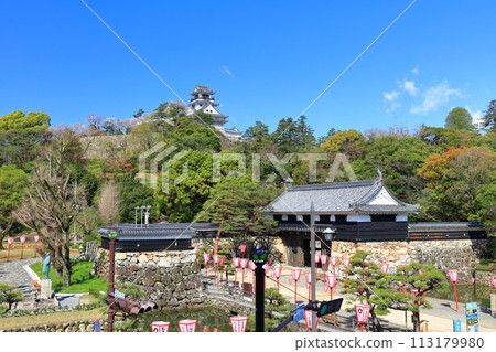 [高知縣] 晴朗的日子高知城、大手門和櫻花盛開 113179980