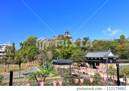 [Kochi Prefecture] Kochi Castle, Otemae Gate and cherry blossoms in full bloom on a clear day 113179982