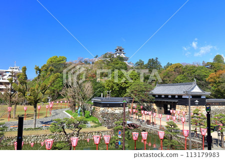 [Kochi Prefecture] Kochi Castle, Otemae Gate and cherry blossoms in full bloom on a clear day 113179983