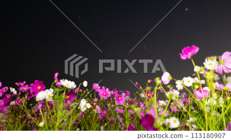 漂浮在星空中的宇宙 113180907