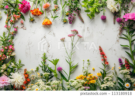 frame with wild flowers and leaves. 113180918