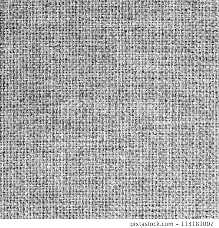 Blank fabric texture background. Old gray textile. Grey canvas fabric. 113181002