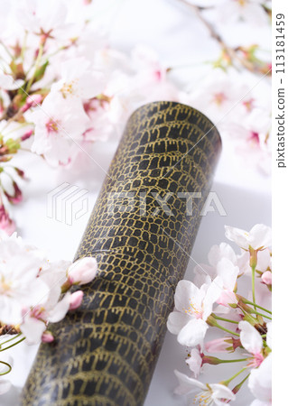 畢業形象 113181459