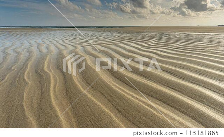 Sandy beach texture Sandy beach texture 113181865