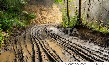 Tire marks left on the forest road 113181988