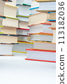 Stack of books on white background 113182036