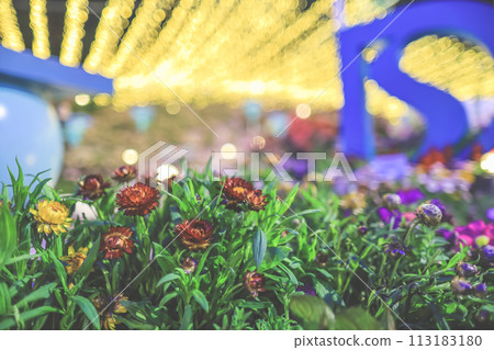 romantic garden with roses and garlands and lantern 113183180