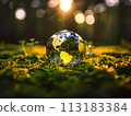 Earth day, April 22 of 2024 113183384