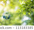 Earth day, April 22 of 2024 113183385