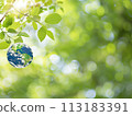 Earth day, April 22 of 2024 113183391
