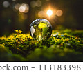 Earth day, April 22 of 2024 113183398