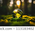 Earth day, April 22 of 2024 113183402