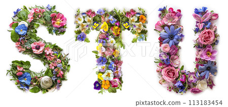 Flower font alphabet S, T, U made of colorful floral letters on white background 113183454