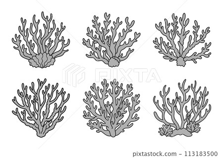 Set of coral reefs or seaweeds, underwater plants. Set of sea coral icons. Sketch, illustration. Vector 113183500