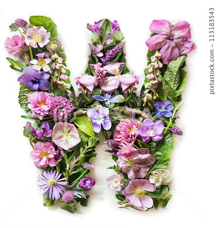 Flower font alphabet W made of colorful floral letter on white background 113183543