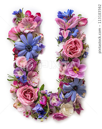 Flower font alphabet U made of colorful floral letter on white background 113183562