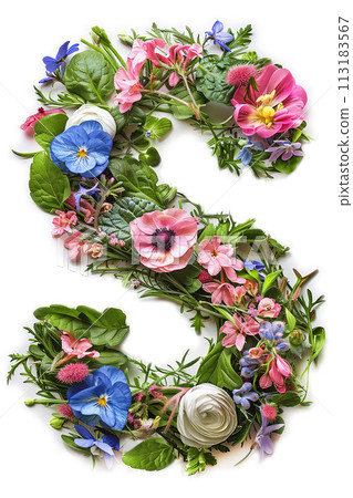 Flower font alphabet S made of colorful floral letter on white background 113183567
