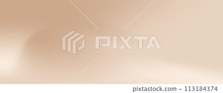 Nude Gradient. Pastel beige Background. Abstract soft backdrop. Minimal blur wallpaper. Trendy Vector illustration 113184374