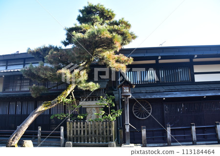 日本岐阜縣的春天。高山市中心的老城區景觀。具有歷史感的日本房屋和宏偉的松樹。 日本岐阜縣的春天。高山市中心的老城區景觀。具有歷史感的日本房屋和宏偉的松樹。 113184464